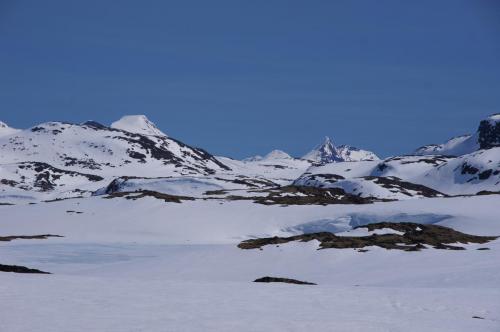auf dem Sognefjellet