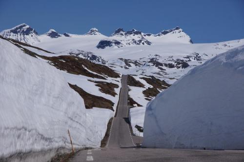 auf dem Sognefjellet