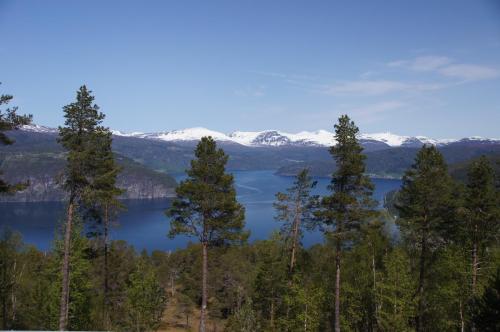 bei Utvik am Innvikfjorden