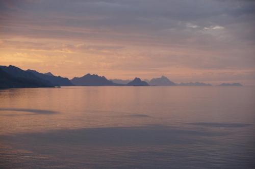 Morgengrauen am Vestfjord