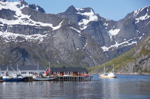 am Reinefjord bei Hamnøya