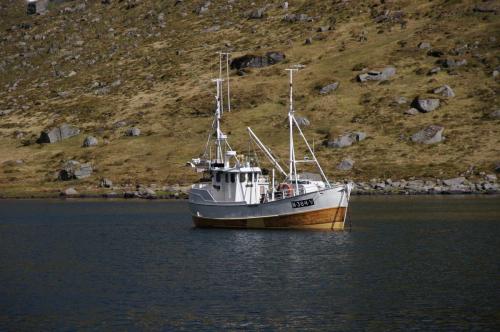 Trawler im Kjerkfjord